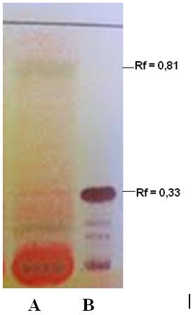 visualização, luz visível, após aquecimento A Figura 3 mostra o cromatograma obtido para alcalóides.