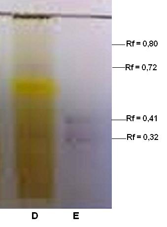 metanol seguido de polietilenoglicol 4000 a 1% em etanol (PEG); visualização, luz ultravioleta a 365 nm A figura 2 mostra o perfil cromatográfico em CCD para saponinas dos EBs das plantas.