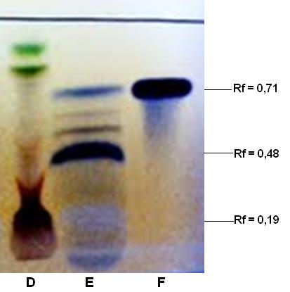 Foram observadas bandas de coloração azul escuro nos Rfs 0,48 e 0,71 para as amostras referência de hamamelis e ácido gálico, respectivamente.