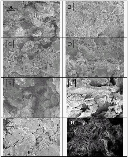 Fotografias de microscopia eletrônica de varredura mostram uma mudança na microestrutura interna do solo, com ênfase principalmente em uma floculação das partículas finas do solo observada nos