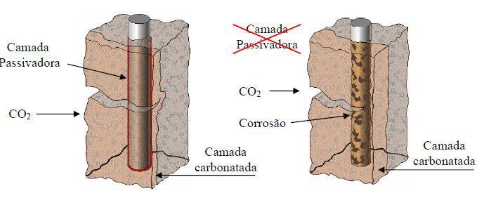 Ocorre que o CO2 penetra para o interior do concreto por difusão, predominantemente, sendo que a absorção capilar e a migração de íons não se aplicam ao caso e dificilmente haverá diferenças de