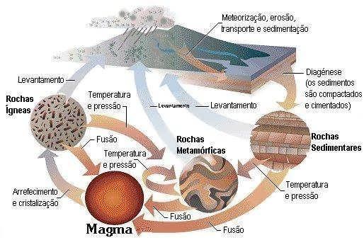 CICLO