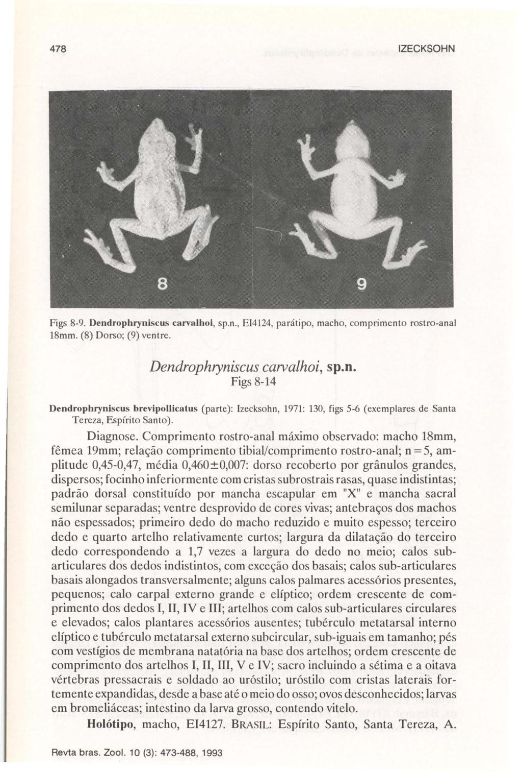 478 IZECKSOHN Figs 8-9. Dendrophryniscus carvalhol, sp.n., EI4124, parátipo, macho, comprimento rostro-anal 18mm. (8) Dorso; (9) ventre. Dendrophryniscus carvalhoi, sp.n. Figs 8-14 Dendrophryniscus brevipollicatus (parte): Izecksohn, 1971 : 130, figs 5-6 (exemplares de Santa Tereza, Espírito Santo).