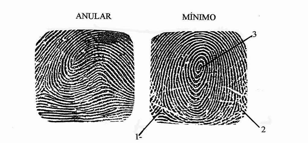 será submetido à identificação criminal quando solicitado pelo Ministério Público. será submetido à identificação criminal somente com autorização judicial. QUESTÃO 32 Em relação à Lei n.º 12.