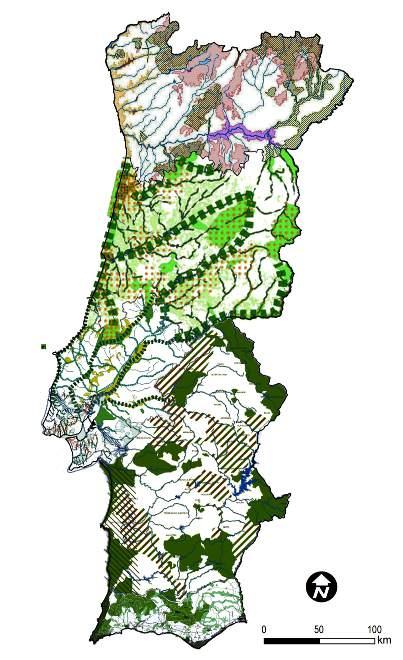 ESCALA REGIONAL - EER Estruturas Ecológicas Regionais PROTs Designações e representações diferentes na mesma escala Representação esquemática de áreas e