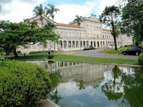 Treinamento Identificação de espécies de capim-colchão Importância da cultura da cana-de-açúcar Brasil: - maior produtor mundial de cana-de-açúcar - maior produtor e exportador mundial de açúcar e de