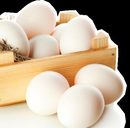 Ovos, colesterol e outros mitos O ovo é um dos alimentos mais completos que existem. É uma proteína de alto valor biológico, que só perde para o leite materno.