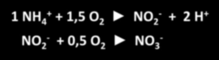 1,5 O2 NO2- + 2 H+ NO2- + 0,5 O2 NO3- Variáveis 0-20 ph - H2O