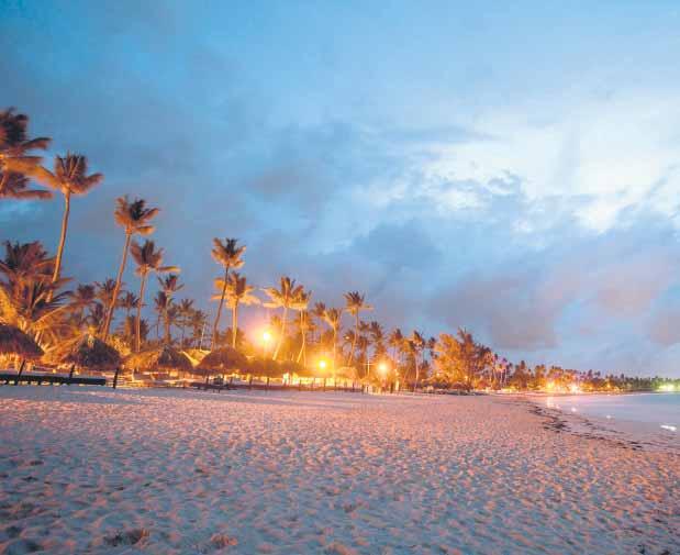 Punta Cana não deixa nada a desejar quando o assunto são passeios. Um dos mais populares na região é a visita à Ilha de Saona.
