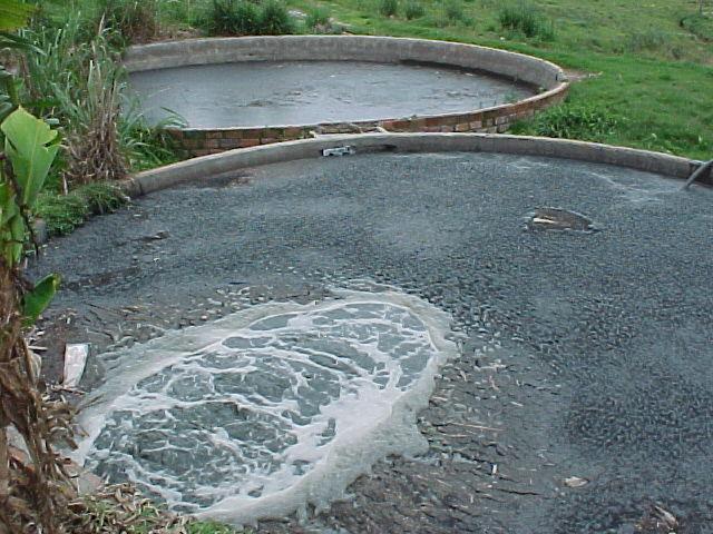 Potencial Fertilizante Devemos conhecer a composição química dos dejetos.