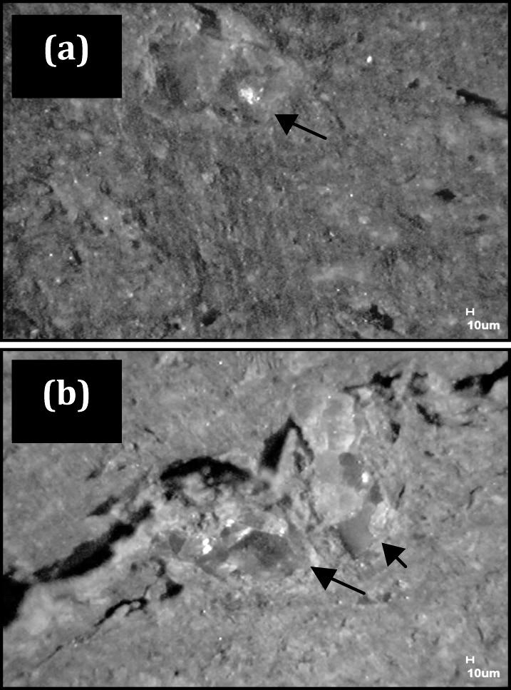 2 L. A. de Freitas et al. / Cerâmica 57 (2) 26-2 Figura 9: Micrografias de microscopia óptica da cerâmica sem coque de petróleo queimada a 85 ºC (a) e 5 C (b).