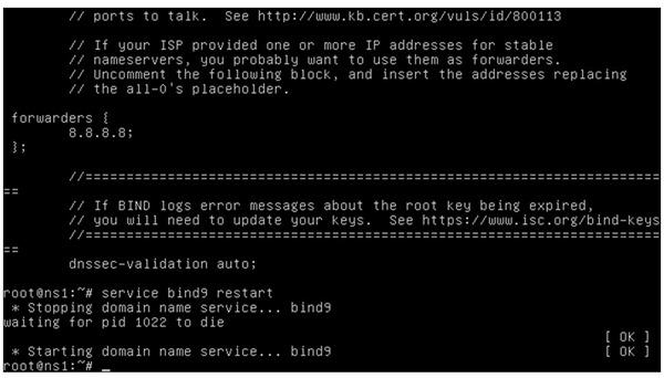 $ sudo service bind9 restart Pronto o nosso servidor está funcionar.