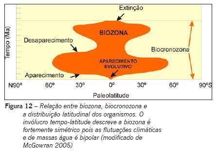 Os limites das biozonas podem ser definidos por distintos critérios
