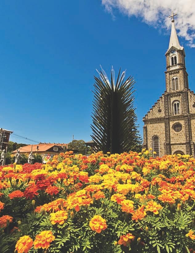 Serra Gaúcha - RS Negócios em alta