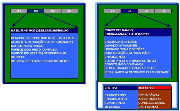 Estilos de Liderança Acertando