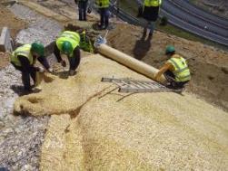 Sementeira com cobertura de esteira de palha