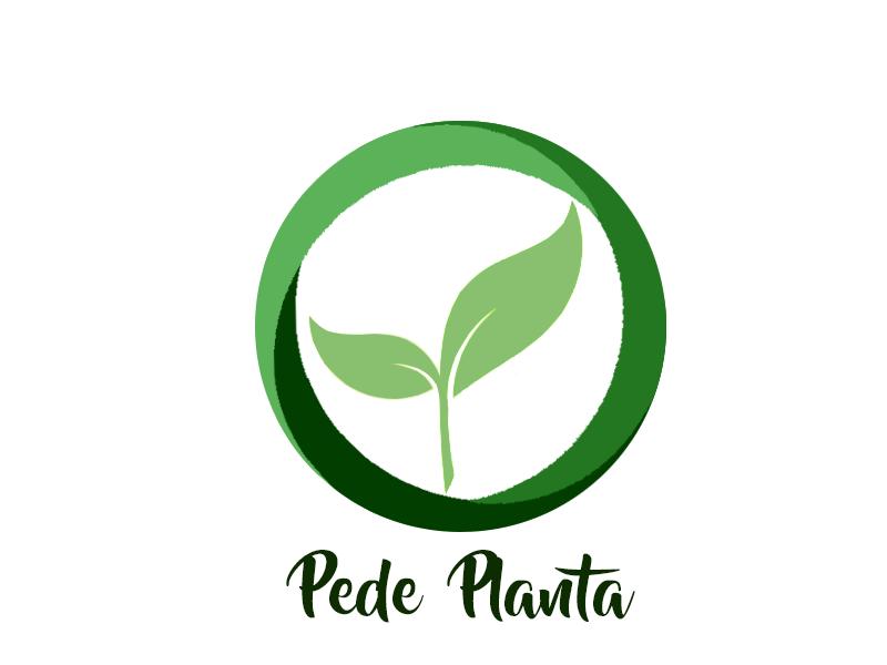 >>> Resultados do projeto PEDE PLANTA 2008/2015 e