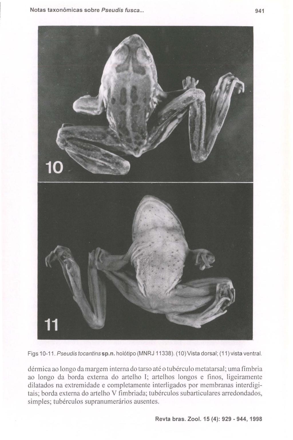 Notas taxonômicas sobre Pseudís fusca... 941 Figs 10-11. Pseudis tocantinssp.n. holótipo (MNRJ 11338). (1 O) Vista dorsal; (11) vista ventral.