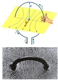 Campo Eletromagnético Regra da mão direita: Dedo