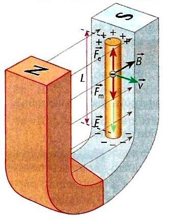 elétron, ou seja, negativa. Isto faz com que os elétrons se desloquem no sentido da F m, fazendo com que uma das extremidades do fio fique com carga positiva e a outra extremidade com carga negativa.