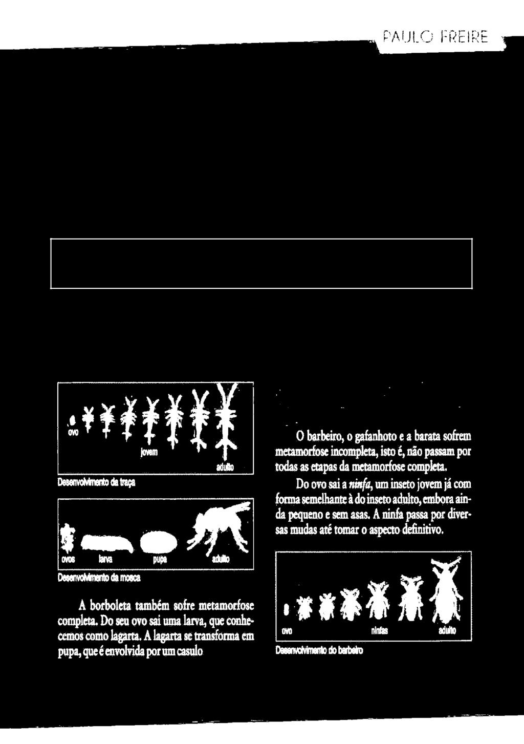 Fecundação Externa Em animais que vivem em ambientes aquáticos, é comum que o encontro do óvulo e do espermatozóide ocorra no ambiente, fora do corpo da fêmea.