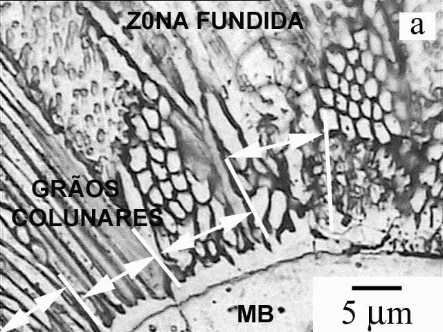 Fig.5. Microestrutura típica da zona de fusão-zf (a) e da ZAC (b) do aço AISI 316L. (amostra soldada com 2.0 Joules).