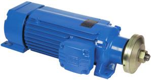 (900/1800 rpm) cv 220 V 220 V 0,25/0,40 71 11692591 500,53 80 11550402 785,18 71 2.250,83 80 3.208,15 0,30/0,50 71 11692592 527,75 90S 11607780 835,61 71 2.375,33 90S 3.