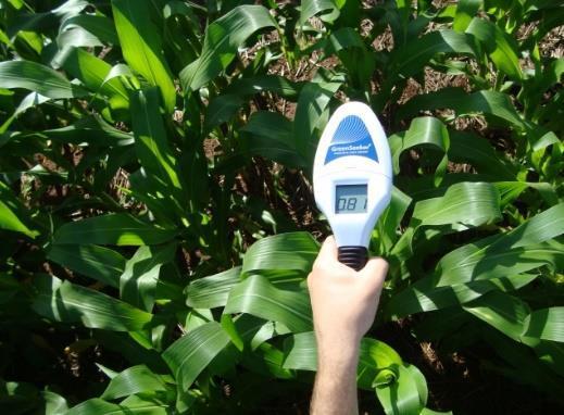 4 Principais resultados de pesquisa: avanços e aplicações 7.4.1 Sensor de vegetação para estimativa do potencial produtivo no milho em função da época de dessecação da cultura antecessora A indicação