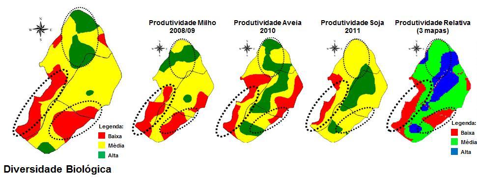Agricultura de Precisão no Rio Grande do Sul utilizar alguns grupos que funcionam melhor se avaliados especificamente, indicando situações e condições (BARETTA et al.