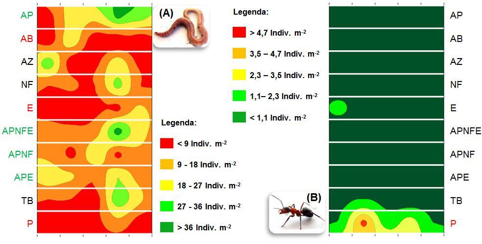 , 2013), e as formigas, sensíveis indicadoras de áreas degradadas (ANDERSEN et al.