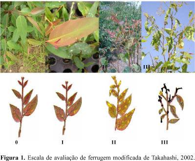 Seleção artificial: eliminação de plantas indesejáveis resistência a patógenos (inoculações artificiais) População: 1500