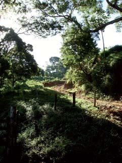 estrada que liga Miracema ao distrito de Paraíso do Tobias (f02).