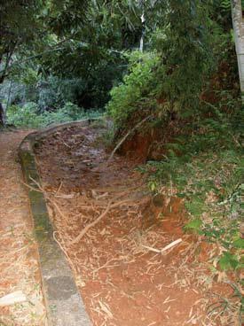 (f18), atualmente desativada e soterrada por árvores derrubadas pelas fortes chuvas que este