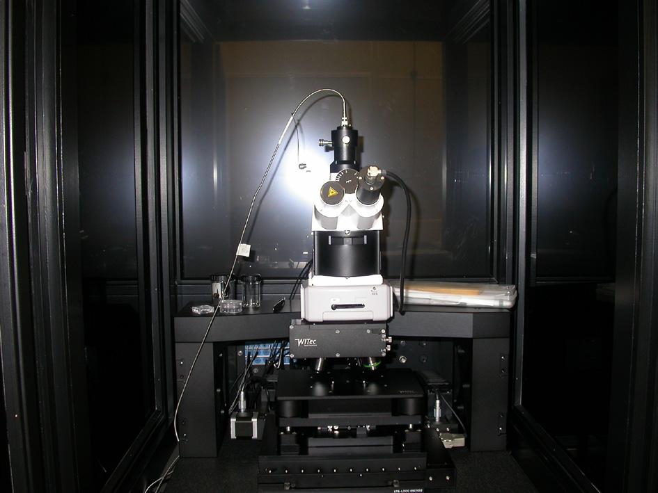 A focalização do laser na amostra e a coleta da radiação espalhada a 180º foram feitas através de um microscópio metalúrgico marca WiTec e lente objetiva de 100x CF Plan com número de abertura de