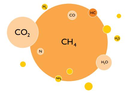 formada basicamente por metano (CH4) e dióxido