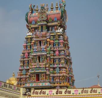 6º Dia 11 Jan. (Qui.) - MADURAI Após o pequeno-almoço, visita da cidade de Madurai, sendo a primeira paragem no Mariamman Teppakulum, um lago com quase 65.