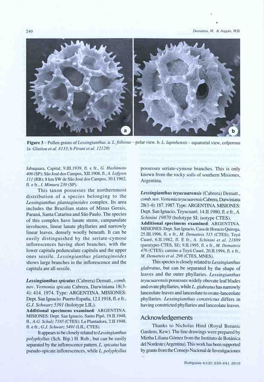 Tinctură de geraniu pentru varice - Tinctura de geraniu de la varicoză