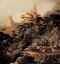 A expedição de Langsdorff percorreu durante os anos 1822 a 1829 as regiões de Minas Gerais, Mato Grosso, Goiás, Rio de Janeiro e São Paulo.