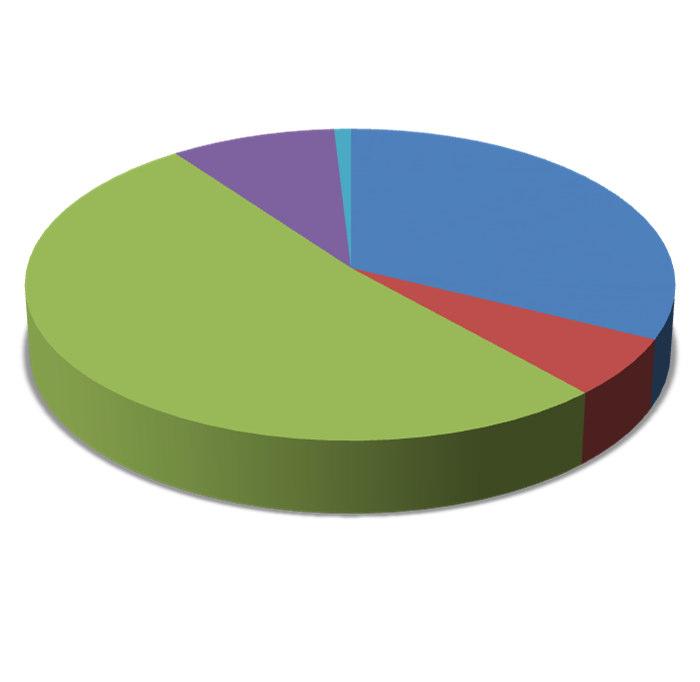 Recolha seletiva RUB 9% Escórias metálicas recuperadas 1% Recolha seletiva 32% RUB em TMB 52% Recicláveis TM recuperados 6% Figura 13 Contribuição individual de cada fração de resíduos para a meta de