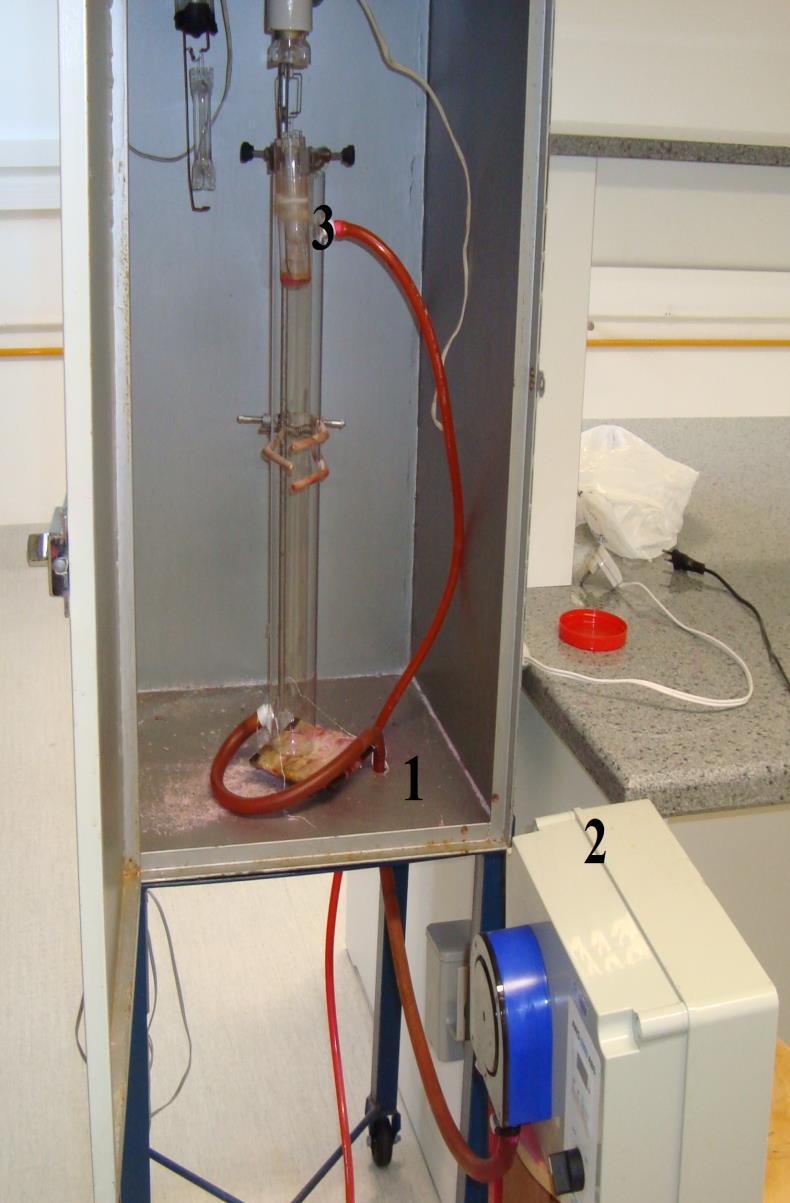 32 Figura 1: Sistema representativo do reator fotoquímico do NEMP: 1 Câmara de proteção, 2 Bomba de recirculação, 3 Reator de fotodegradação, 3.1 Entrada do Efluente, 3.2 Saída do Efluente.