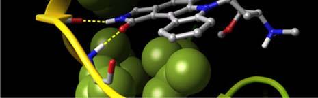 hidrofóbicas do sítio de ligação da proteína (fenômeno de partição), estabilizando a formação do complexo e