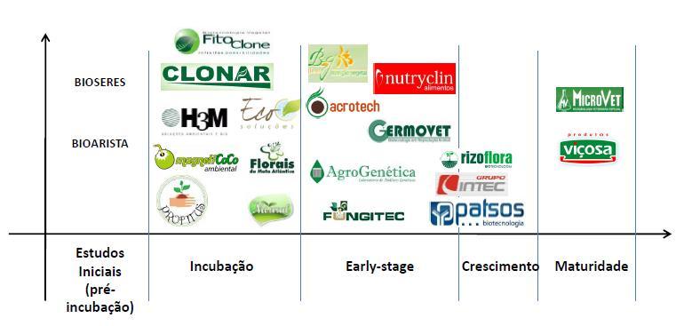 Figura: Grau de Maturidade das empresas de Viçosa no setor de Biotecnologia Fonte: Cluster e Consulting, 2011 No que tange, a área de atuação dessas empresas, os segmentos de maior ênfase são os de