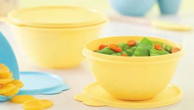 Os produtos Tupperware têm garantia de 10 anos contra qualquer defeito de fabricação (esta garantia não