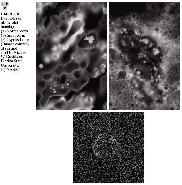 Raios Ultravioleta 18 Incluem inspeção industial, imageamento biológico, microscopia e observações astronômicas A luz ultravioleta não é visível, mas