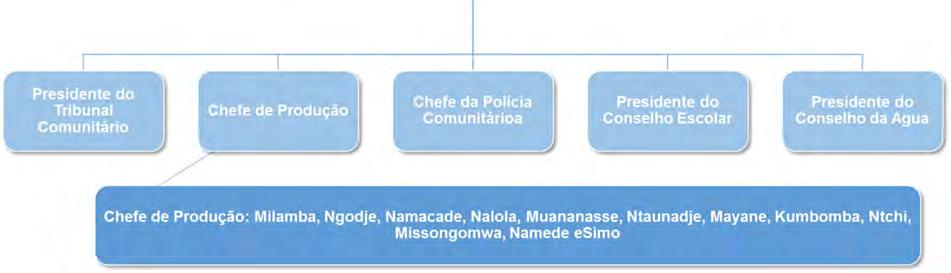 afectadas; e Normas de Desempenho da IFC relativas ao Meio Ambiente e à Sustentabilidade Social. 4.1.