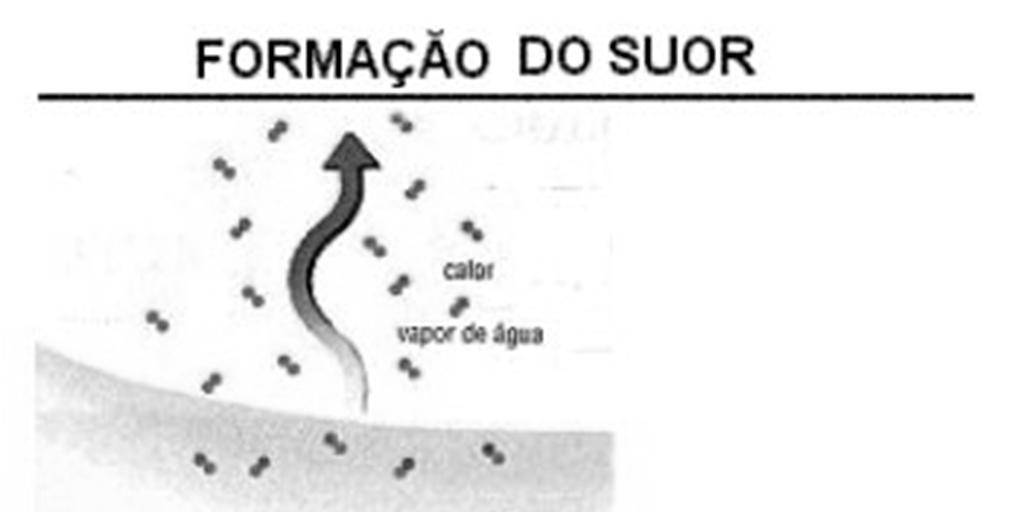 eleva ou o corpo evapore lentamente.