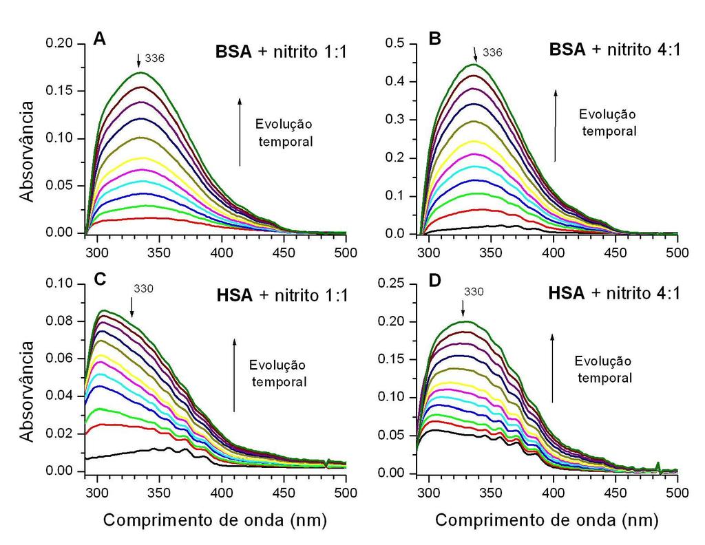 68 6.5 Comparação entre nitrosação de albumina bovina e humana Para comparar os efeitos de nitrosação da albumina bovina (BSA 2 Trp nas posições 134 e 212 da cadeia) com a humana (HSA 1 Trp na