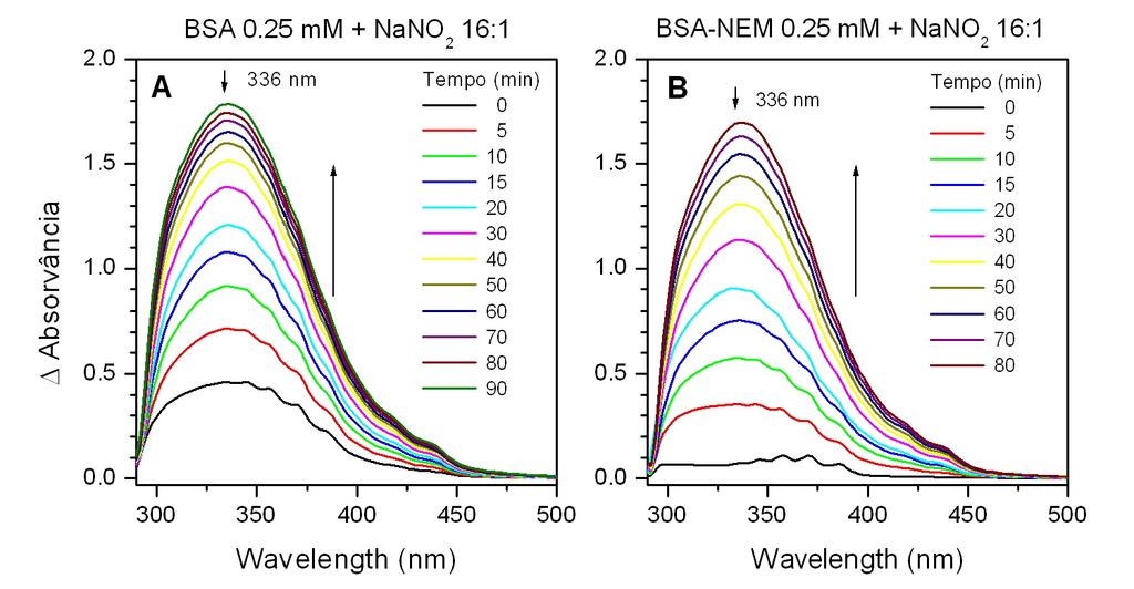 64 6.3 Comparação entre nitrosação de BSA nativa e BSA Cys-bloqueada Com o intuito de pesquisar os espectros de absorção de outros resíduos de aminoácidos que sofrem nitrosação além da Cys 34 da