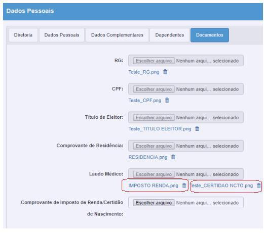 Documentos, caso haja necessidade de anexar mais de um arquivo (pdf ou png), o docente poderá selecionar os dois ao