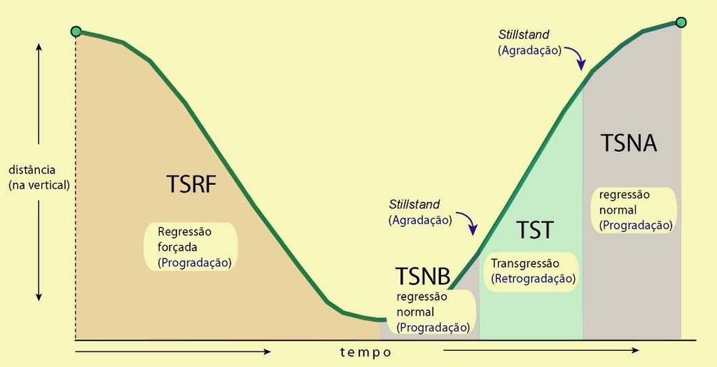 Nessa fase, o sedimento começa novamente a ganhar do espaço criado, preenchendo-o cada vez mais eficientemente, instaurando uma regressão.